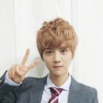 [EXO] 엑소 <b>부산</b>국제영화제 