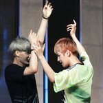 [EXO] <b>생명</b>의나무 뒤에 카이와백현이