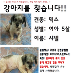 <b>샤넬</b>을 찾습니다ㅠ