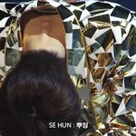 [EXO] 오세훈으로 알아보는 <b>인체</b>의 신비