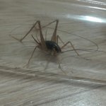 [EXO] 헐얘 종인이랑<b>팔짱</b>끼고있는데; 