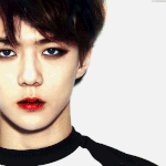 [EXO] 세훈 타오 뱀파이어사진 