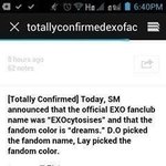 [EXO] 엑소팬덤이름 웬디도아니고 징어도아닌데?