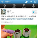 [<b>B1A4</b>] 신우  요즘 존 나기여어미친;;