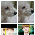 [EXO] 울 강아지