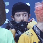 [EXO] 차녈이밤톨때그립드 ㅎ