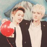 [EXO] 근데 시우민 <b>지마켓</b>콘이 대체 어땟길래 ㅋㅋㅋㅋㅋㅋㅋㅋ