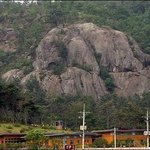 [역사인물] 『대한민국 제16대 대통령 노무현(盧武鉉) 평전(評傳)』１...