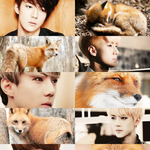 [EXO] 세훈이 <b>여우</b>닮았어