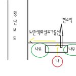 [이빨내놔] <필독>도와주세요.<b>불법</b>현수막때문에 이빨3개가 나갔어요