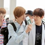 [EXO] 우리가뚱뚱한데보태준거잇어?