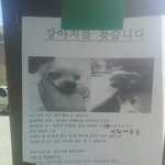 서울 광진구 사시는분들 부탁드립<b>니더</b>