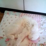 [용배꾸르밍] 대두김용배의 가을타는 남자