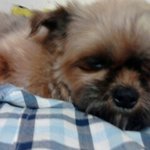 우리 이쁜이 <b>진순</b>^^