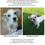 10월 <b>입양</b>을 기다리는 아이들