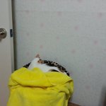 [완두콩이] <b>한</b><b>지붕</b>세여인11_역동적인 아이둘~
