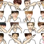 [EXO] 엑소팬들