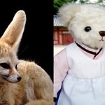 [여자의심리] 곰/여우의 연애심리 차이 -2-