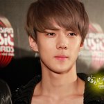 [exo] 미친 미모를 가진 엘프세훈 (초스압)