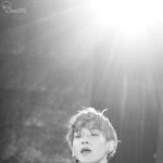 [EXO] 최애종대인애들없어?ㅜㅜ