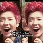 [EXO] <b>사슴</b> 루루 (인간극장?엽사?)