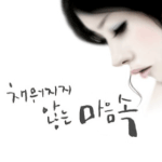 추억은 아무런 힘이 없다..(남이)