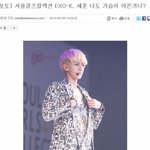 [EXO] 김민효기자의 엑소사랑