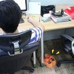 대리님과 다이어트 내기 ㅋㅋ