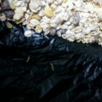 무<b>슬리</b>(뮤즐리)먹을때 조심하세요