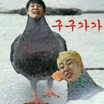 [블락비] 우리예쁜꿀벌들 나는 자러갈께영