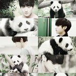 [EXO] 엑소닮은꼴