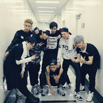 [블락비] 요즘우리<b>꿀벌</b>들