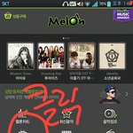[블락비] <b>꿀벌</b>들주목