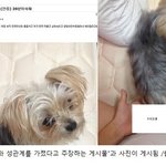 사진有) 일베의 <b>만행</b>