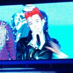 [블락비] 아송페 간 꿀벌들 있썽?ㅠㅠ