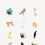 [EXO] <b>동물</b>로 보는 엑소