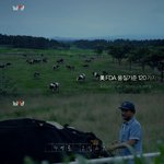 분유의 원료와 <b>원유</b>관리, 과정을 알아 보는 것도 좋을 것 같네요