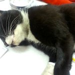 우리 신이 드디어 평생엄마를 만나다