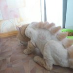 어느 별난 애완견 주인의 복장<b>센스</b>.jpg
