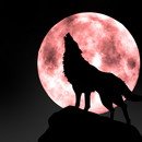 [천외천] 번개탄이라 세상 사람들이 더이상은 자살을 떠올리지 않았어면...