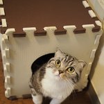 [유봉이네] 잔혹동화(유봉이네)