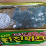 사조런천<b>미트</b>