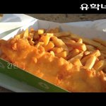 [<b>LIFE</b>]호주- 호주의 대표음식 피쉬앤칩스