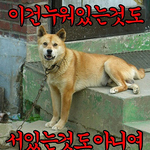 [BAP] <b>쌈닭</b>이 될수밖에 ㅋ