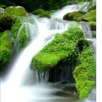 하나님의교회, 초막절을 지키는 이유?!