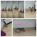 제~~발 <b>쥬</b>떼횻