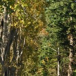 [LIFE]캐나다- 고려대 느낌나는, 아름다운 Hatley <b>Park</b>! 