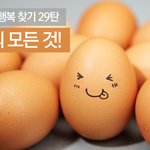 초간단레시피:달걀로할수있는요리들 (사진.레시피++)