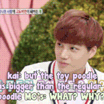 [EXO] 안녕하세요에서 강아지 이야기하는 <b>김종인</b>