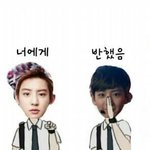 [EXO] 찬열이 정글의 법칙 합류!!!